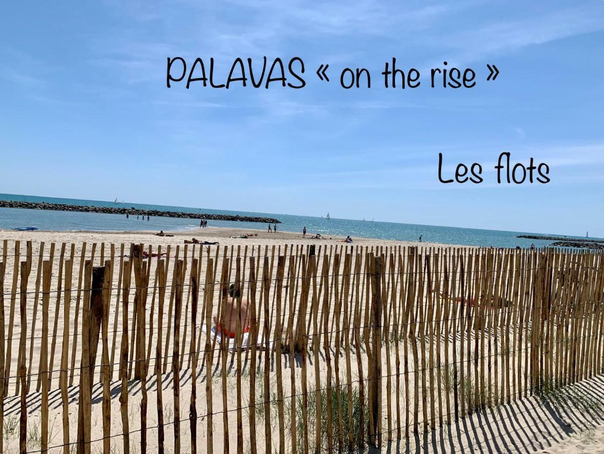 Amerique Hotel Palavas - Piscine - Plage Экстерьер фото